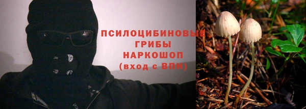 каннабис Михайловка