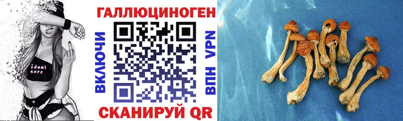 Галлюциногенные грибы прущие грибы  shop телеграм  Ангарск 